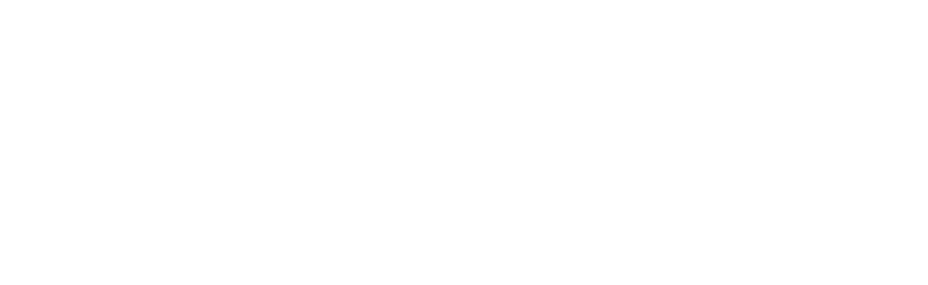 IT Support Company Logo White